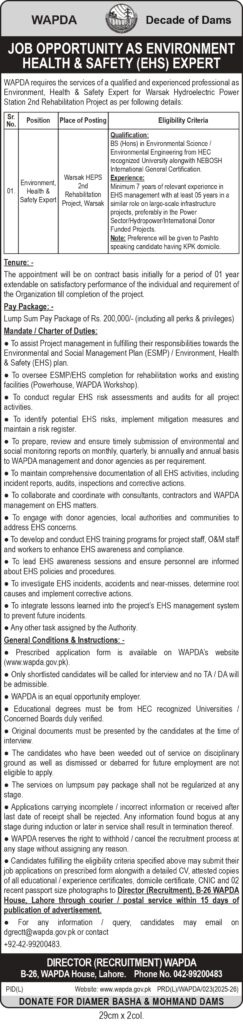 WAPDA Jobs 2025 Advertisement - EHS Expert Vacancy